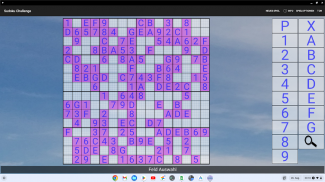 16x16 Sudoku Challenge HD screenshot 10