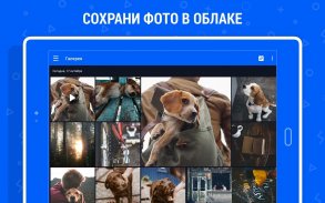Облако Mail.ru:  Фото галерея screenshot 5