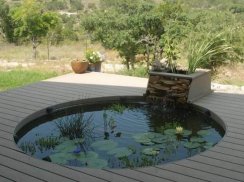 Fish Pond Design Ideas screenshot 4