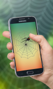 Spider Web Out screenshot 2