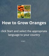 orange cultivation screenshot 3