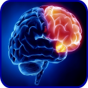 Neurology Basics Icon