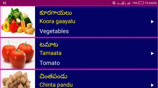 Learn Spoken Telugu From English Pro screenshot 14