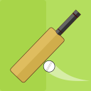 Cricket Minimalist Game