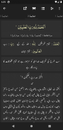 Mufradat ul Quran - Urdu - Imam Raghib Isfahani screenshot 7