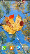 Autumn Leaves Live Wallpaper screenshot 5