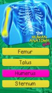 The Human Anatomy Quiz screenshot 2