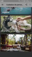 Cuidados de perros Husky screenshot 2