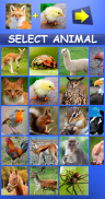 Mix Aminals. Animal morphing screenshot 9