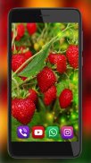 Forest Berries and Mushrooms Live Wallpaper screenshot 0