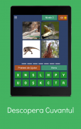 Descopera Cuvantul screenshot 9