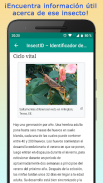 InsectID – Identifica Insectos screenshot 4