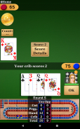 Cribbage Pro screenshot 9