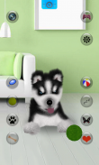 Falando Husky screenshot 8