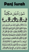 Panj Surah screenshot 2