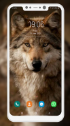 Wolf Wallpaper screenshot 9