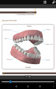 Dental Surgery & Implantology screenshot 6