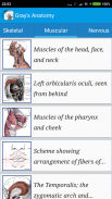 Gray's Anatomy - Anatomy Atlas 2020 screenshot 3