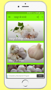 लहसुन के फायदे  Benefits of garlic screenshot 5