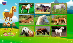 Pony puzzles screenshot 7