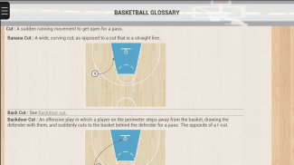 Basketball Dictionnary screenshot 3