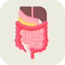 Digestive System