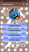 Lovebird sound screenshot 1