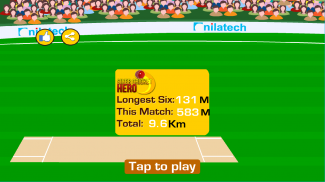 Sixer Cricket Hero screenshot 4