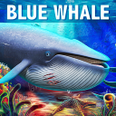 Blue Whale Simulator Icon