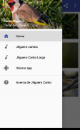 Jilguero Canto screenshot 2