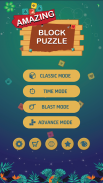 Amazing Block Puzzle screenshot 0