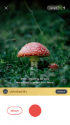 Picture Mushroom - Mushroom ID screenshot 1