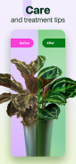 Plantum - 植物识别，叶子、花卉和树木护理 screenshot 2