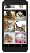 Cat puzzles Jigsaw , Slide ,2048 Puzzle Free Games screenshot 1