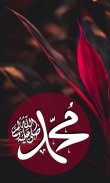 Allah and Mohammed Wallpapers screenshot 8