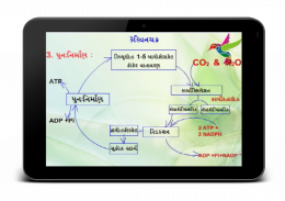 Animated Biology GSEB 12-3-2 screenshot 5