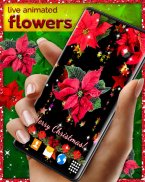 Poinsettia 4K Christmas Flower screenshot 5