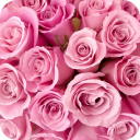 Rose GIF Collection For Rose Day 🌹 Icon