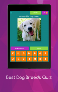 Best Dog Breeds Quiz screenshot 12