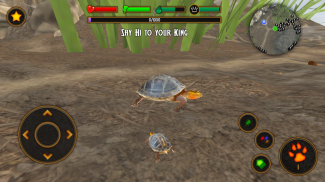 Box Turtle Simulator screenshot 2