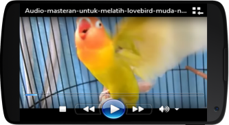 Melatih Lovebird screenshot 4