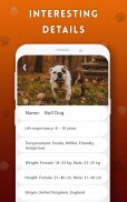 Dog breeds identifier, scanner app: Scan dogs screenshot 2