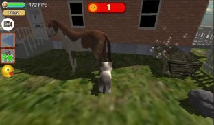 Simulador de gato piloto : monta en moto y caballo screenshot 1