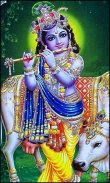 Lord Krishna Photos Wallpaper screenshot 0