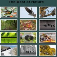 Best Of Nature screenshot 1