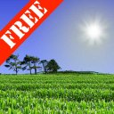 Cornfield FREE Icon