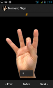 Learning Hand Sign Alphabet screenshot 3