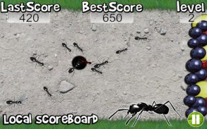 Squish these Ants 2 screenshot 12