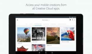 Adobe Creative Cloud screenshot 7
