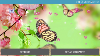 Butterflies Live Wallpaper screenshot 7